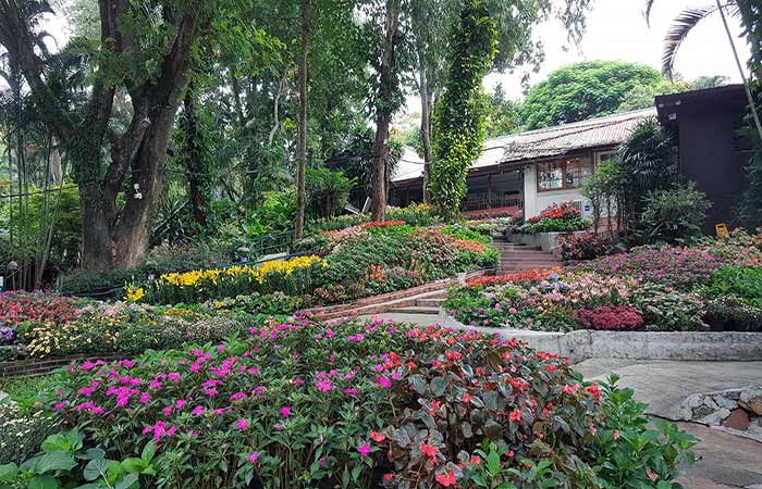 galae restaurant chiang mai