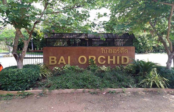 relax at bai orchid and butterfly farm