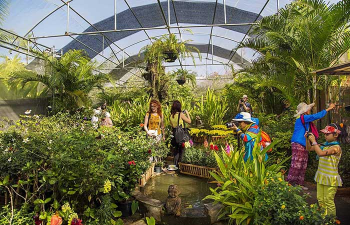 relax at bai orchid and butterfly farm